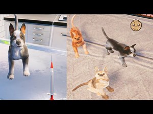 Adopt and Take Care of Puppy Dogs At The Vet Center - Videos For Kids