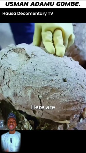 Culinary Traditions: 7 Asian Cooking Practices Today