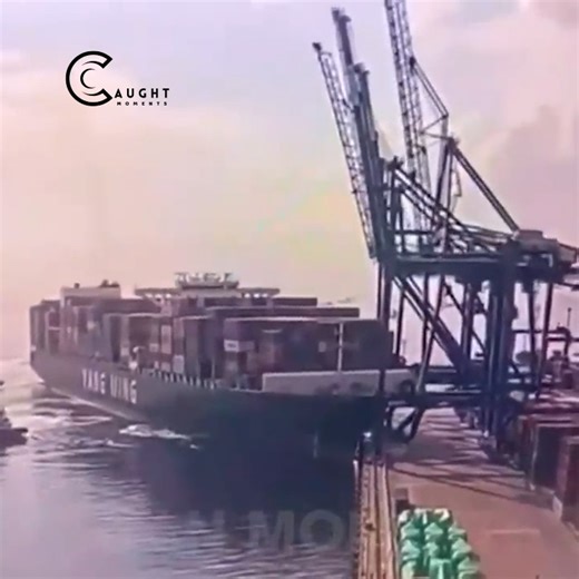 57K views · 733 reactions | Unbelievable moments captured on camera will leave you amazed #108 | Caught Moments | Facebook