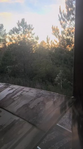 slap_and_blackjack (@slap_and_blackjack)’s videos with original sound - slap_and_blackjack