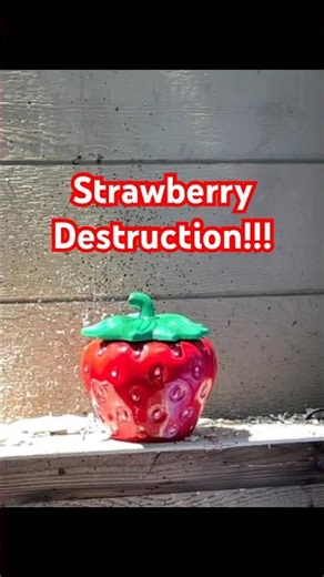 Strawberry Destruction! Full video on my profile!