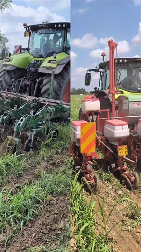 Strip Till: semina mais di 2º raccolto