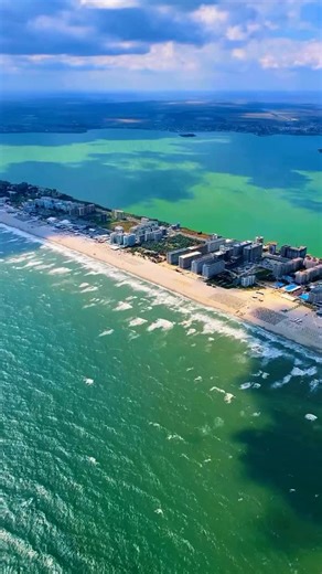 55K views · 274 reactions | Why do we chase beauty until it breaks...