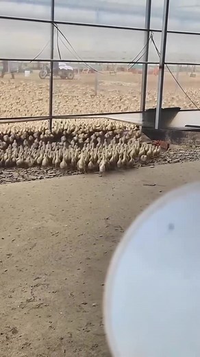 7.8K views · 22 reactions | #InstantHack #FastFixTricks #EverydaySolutions #DailyDIY #EasyFixes #SpeedyFix #QuickHacks #SimpleSolutions #LifeFixes #QuickFixDaily #ProblemSolved #DailyFix #DIYInspo #QuickTips #FixItFast #OneMinuteFix #FastAndEasyDIY #QuickFixIdeas #FixInSeconds #HackYourLife | QuickFix Daily | Facebook