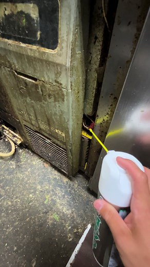 チャバネゴキブリ駆除 - 株式会社マルックス