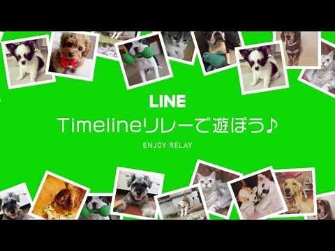 【公式】LINEのタイムラインリレーで遊ぼう！