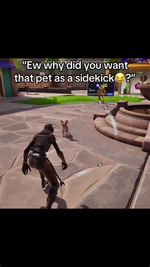 My T-bow he stayed by my side for 17 years 🥺 I miss his little crazy ass everyday