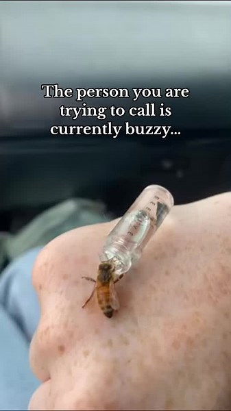 …saving bees in Australia 🇦🇺 So cool to know how far our Bee Revival Kits have travelled across the World. Saving bees 🐝 #savethebees #beevive #beerevivalkit #newtotiktokshop #buzzy #buzzing #honeybee #community #bee #worldwide #beesaving