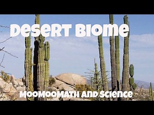 Desert Biome Facts