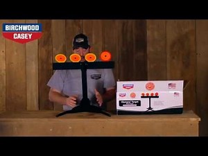 World of Targets Olympus Resetting Target