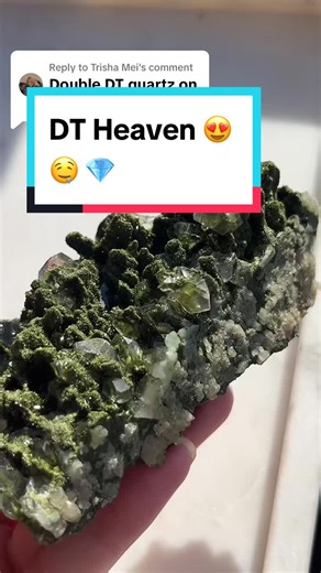 DT Heaven 💎 Epidote on Quartz Double Terminated Crystals
