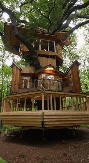 We Built the Most INSANE Treehouse Ever 🤯🏡🌳 (Next-Level Build) From a single tree to a jaw-dropping luxury treehouse—this build is pure magic. Hidden details, sleek design, and a final reveal that doesn’t feel real. ⚡️ Comment “TREE” for the blueprint full materials list. #Treehouse #TreehouseBuild #DreamBuild #Construction #LuxuryTreehouse #CabinInTheWoods #BuildInPublic #BeforeAndAfter #DIYBuild #Woodworking #Architecture #Engineering #Timelapse #Satisfying | Nexus Build