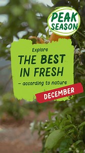 Cozy up with fresh and festive fruits & veggies bursting with seasonal flavor—California grown and here for a limited time! | Sprouts Farmers Market | Facebook