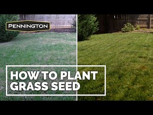 How to Plant Grass Seed - Step by Step on How To Plant Grass Seed
