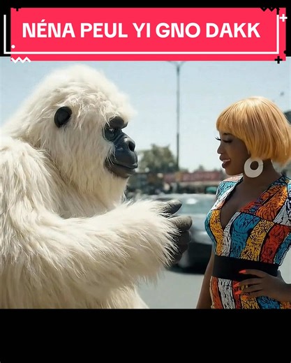 Hilarious Senegalese Comedy Moments