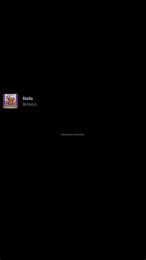 Discover Naila - Bronco Lyrics and Song Highlights