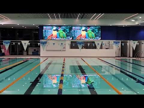 MeGA LED DIsplay - LED wall Project in School Swimming Pool