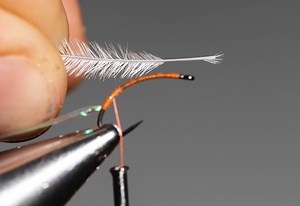 How to Tie a Ray Charles Fly (Step-by-Step With Video) - Into Fly Fishing