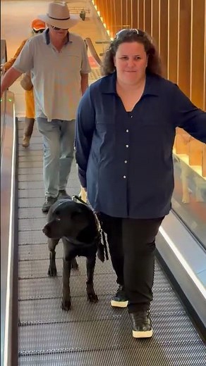 Seeing Eye Dogs celebrates International Guide Dog Day 2026