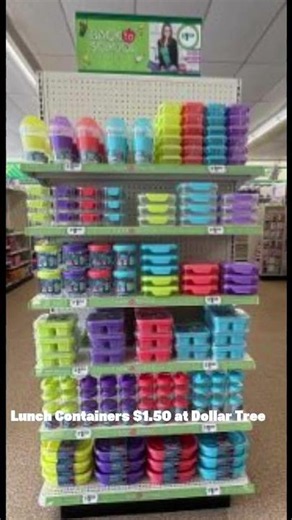$1.50 Dollar Tree Lunch Containers You NEED for School