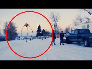 5 STRIDER CAUGHT ON CAMERA & SPOTTED IN REAL LIFE!