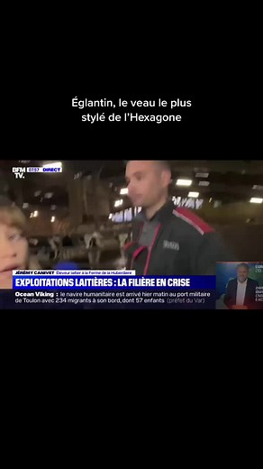 Vidéos de Les aventures d’Eglantine (@eglantinedespres) avec son original - Les aventures d’Eglantine