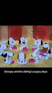 SunniSnoopy on Instagram: "Snoopy and his siblings are at Daisy Hill puppy farm. Puppy days! 懶﫶 Watch on Apple TV #snoopy #スヌーピー #esnupi #woodstock #peanuts #comics #snoopyandwoodstock #snoopycollection #snoopyhunting #peanutsgang #스누피 #스누피가든#charliebrown #thepeanuts #snoopydog #snoopymania #snoopylover #worldtravelersnoopy #snoopyfan #snoopyfinds #puppysnoopy #snoopyhunting #fyp #daisyhillpuppyfarm"