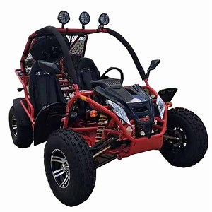 [Hot Item] 4 Stroke Adult Racing Buggy off-Road All Terrain Go Karts