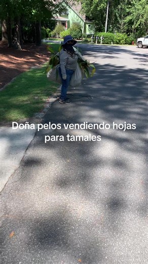 Willy leep (@willy.leep)’s videos with sonido original - Willy leep