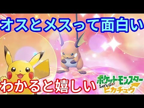 I caught a Pikachu and tried trading a male and female in Alola! ? [Pokémon Let's Go! Pikachu]