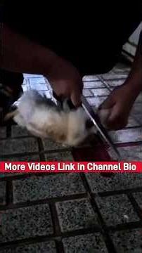 A woman slaughter a chicken