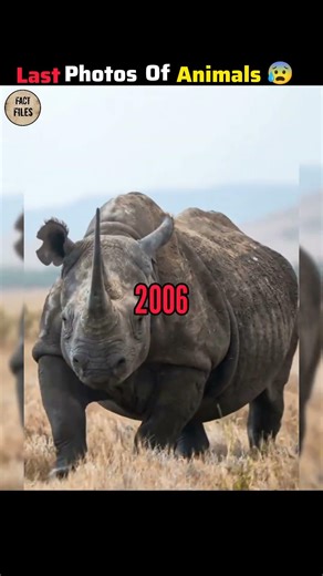 Last footage of extinct animals 😰. #shorts #facts #shortsfeed