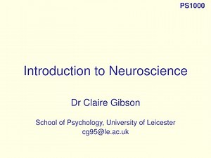 Neuroscience Fundamentals: Developmental Stages & Neural Plasticity - SlideServe