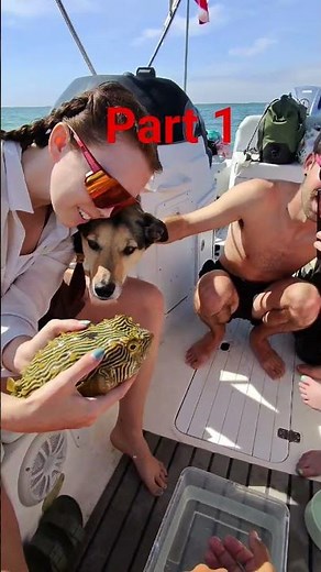Best Snorkeling tour in Panama City Beach. Flippin Awesome Adventures offers the best Snorkeling.