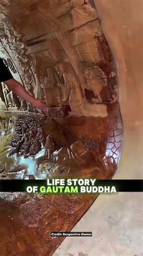 4.4K views · 20 reactions | An art museum inside a tree—only in China.  #TreeMuseum #ArtInNature #ChinaWonder #LivingGallery #NatureMeetsArt | SnapGist | Facebook