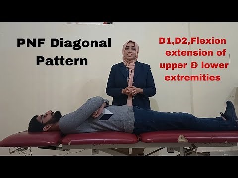 PNF diagonal pattern |Part 3| D1 and D2 flexion and extension of upper and lower extremity