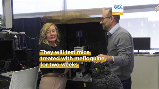 Neuroscientists are trying to find out what happens to our brains when we dream or have nightmares