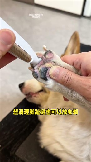 When buying a partial shaver for cats and dogs, be sure to buy a sharp one so that it can be tri