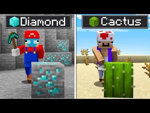 Get Your Minecraft Block, You Win...