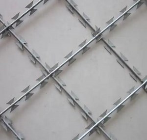 [Hot Item] Galvanized Steel Wire Razor Mesh Fence