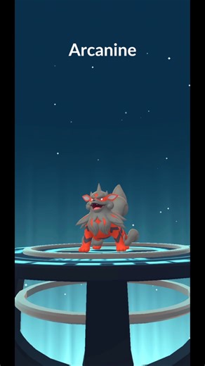 Should I Evolve Hisuian Growlithe? Hisuian Arcanine Evolution | Pokemon GO #Shorts