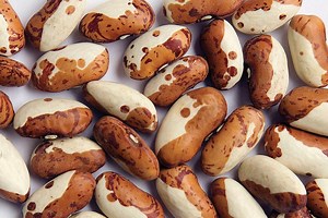 Snowcap Runner Bean Seeds: Organic Heirloom Vegetable, Non-gmo - Etsy