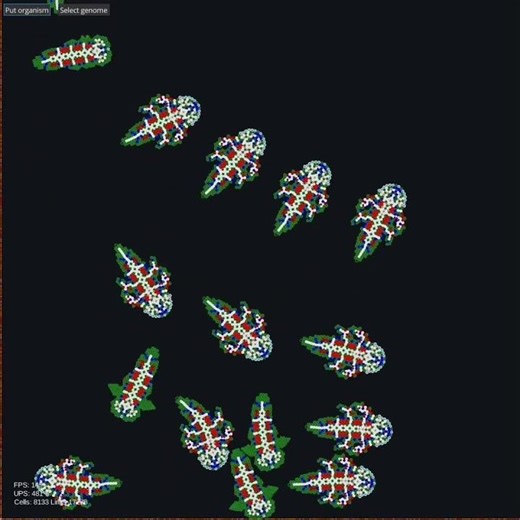 Asexual reproduction. Geometric progression