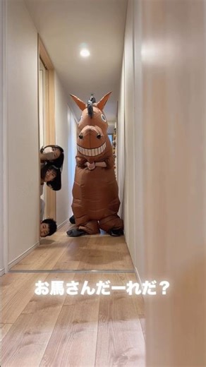 あけましておめでとうございます！お馬さんだーれだ？ #かんあきチャンネル