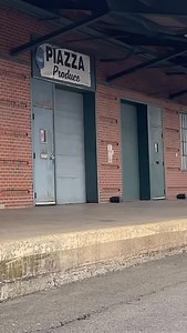 @dewdropdrizzle #animalbikes | Animal Bikes