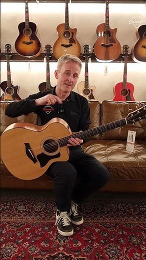 Taylor 114CE - 3 Reasons why you should own this Guitar.