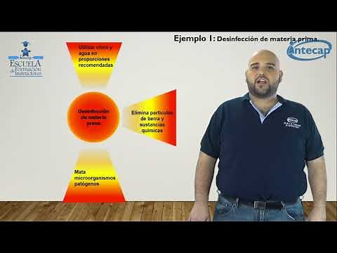 Mapa cognitivo tipo sol