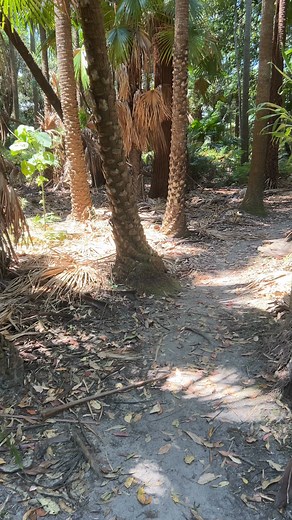 Discover a hidden pocket of nature just a few minutes from your stay...