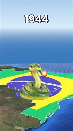 The Entire History of Brazil