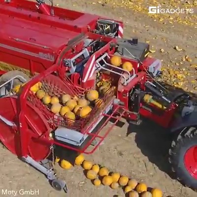67M views · 140K reactions | This machine can harvest 3,900 lbs of pumpkin seeds once. | GIGadgets | Facebook